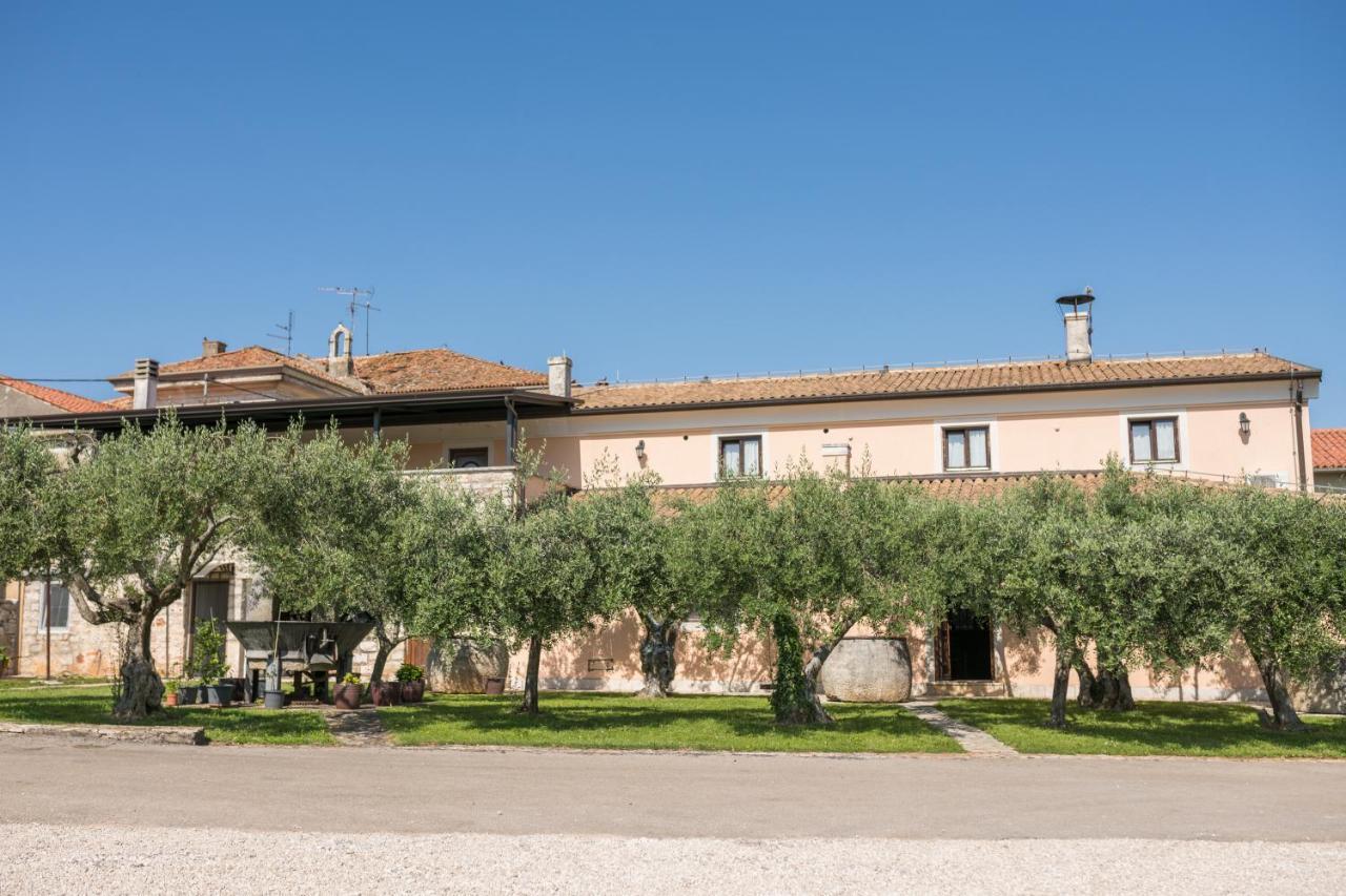 Bb Olive Bed and Breakfast Seget  Esterno foto