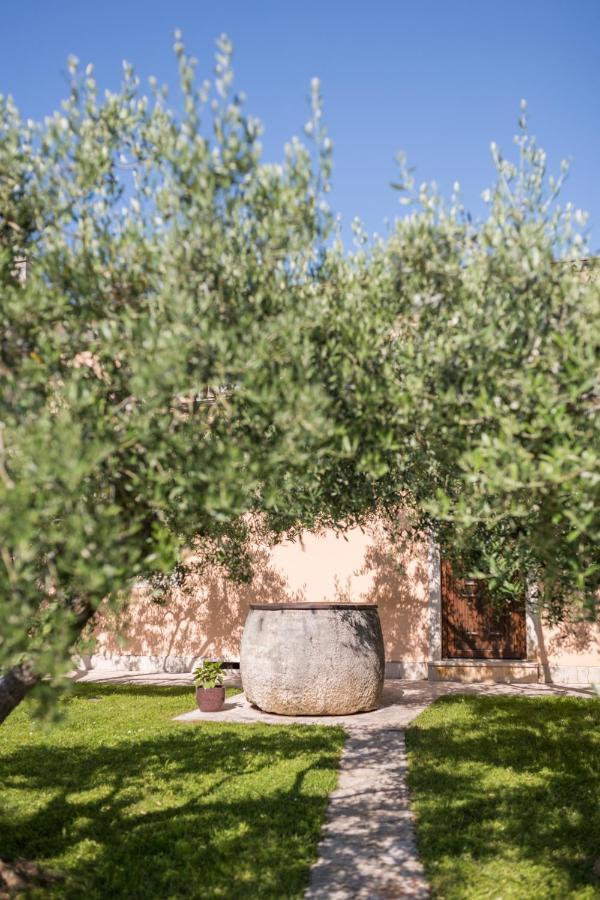 Bb Olive Bed and Breakfast Seget  Esterno foto